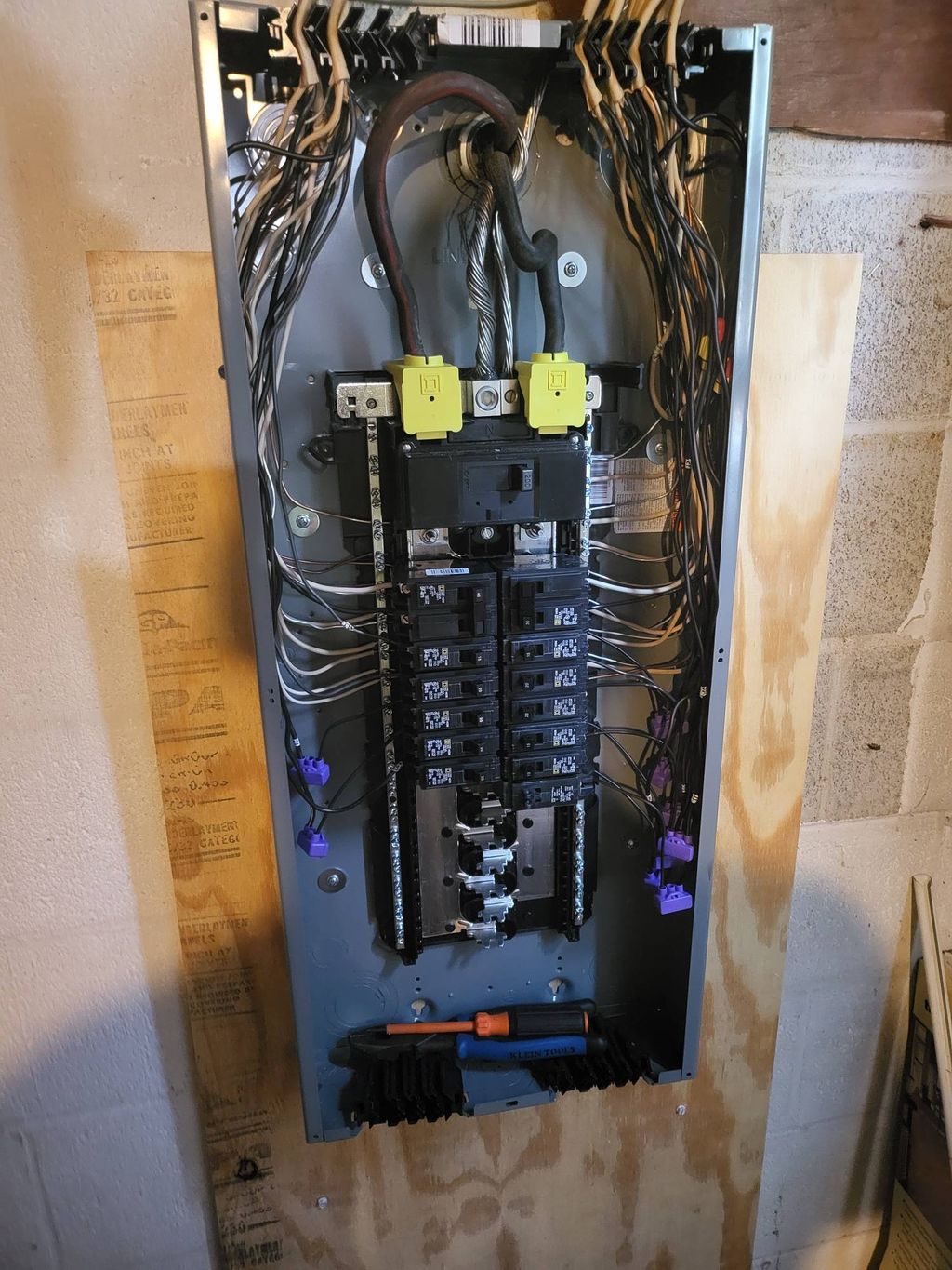 Projects and media