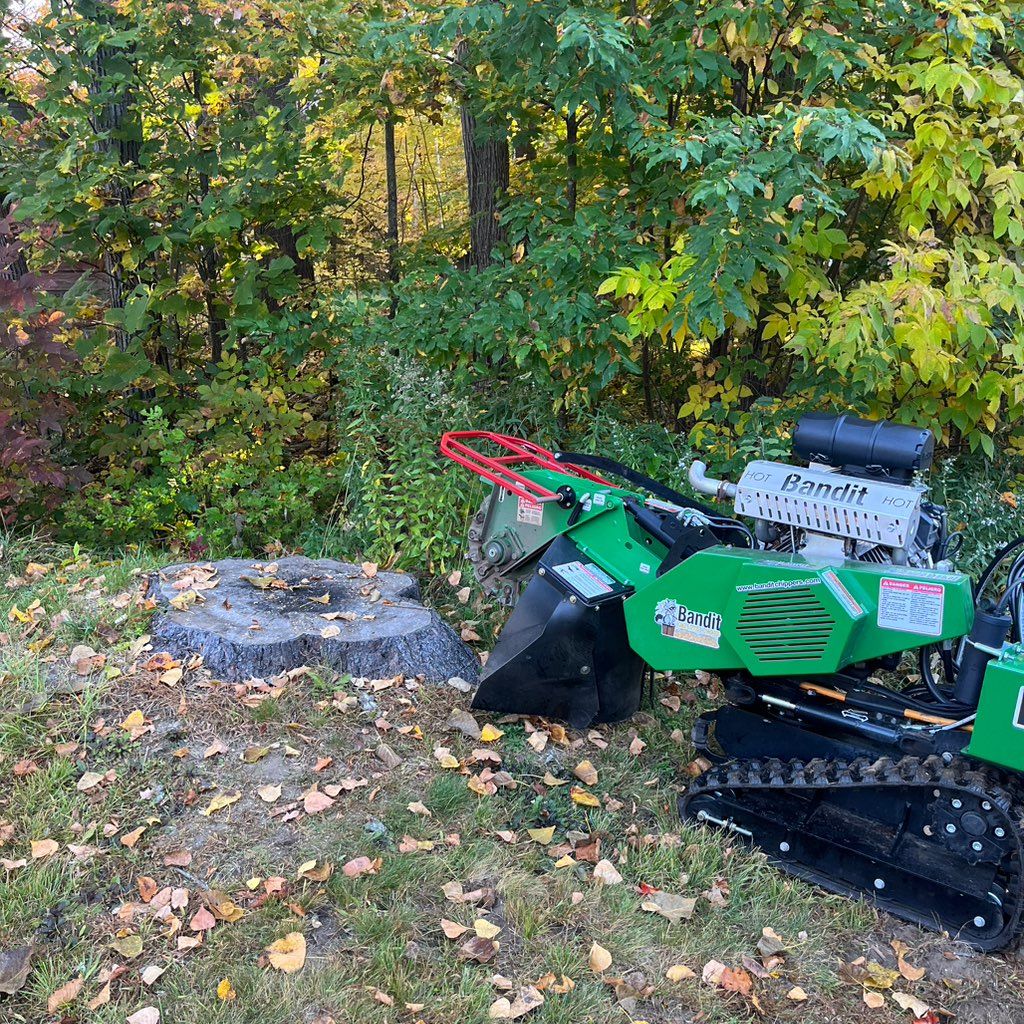 Pro Grind Stump Removal