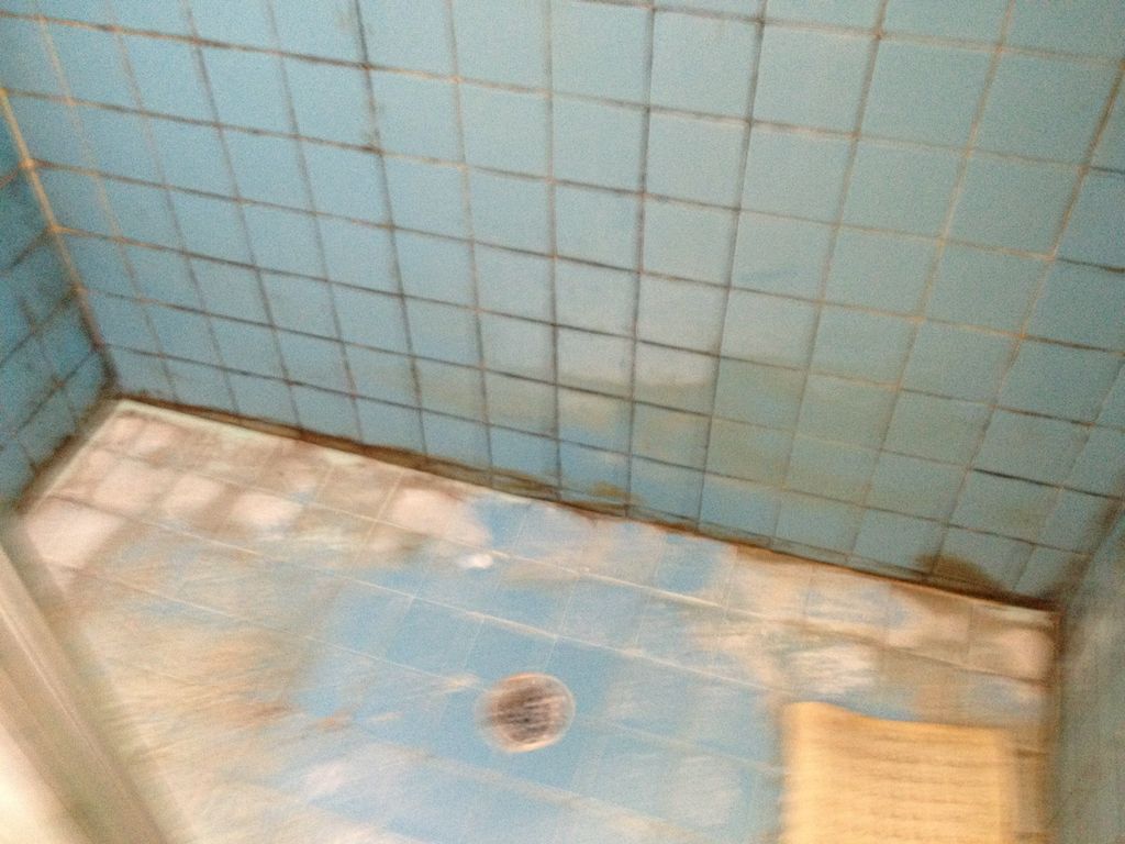 Tile Repair