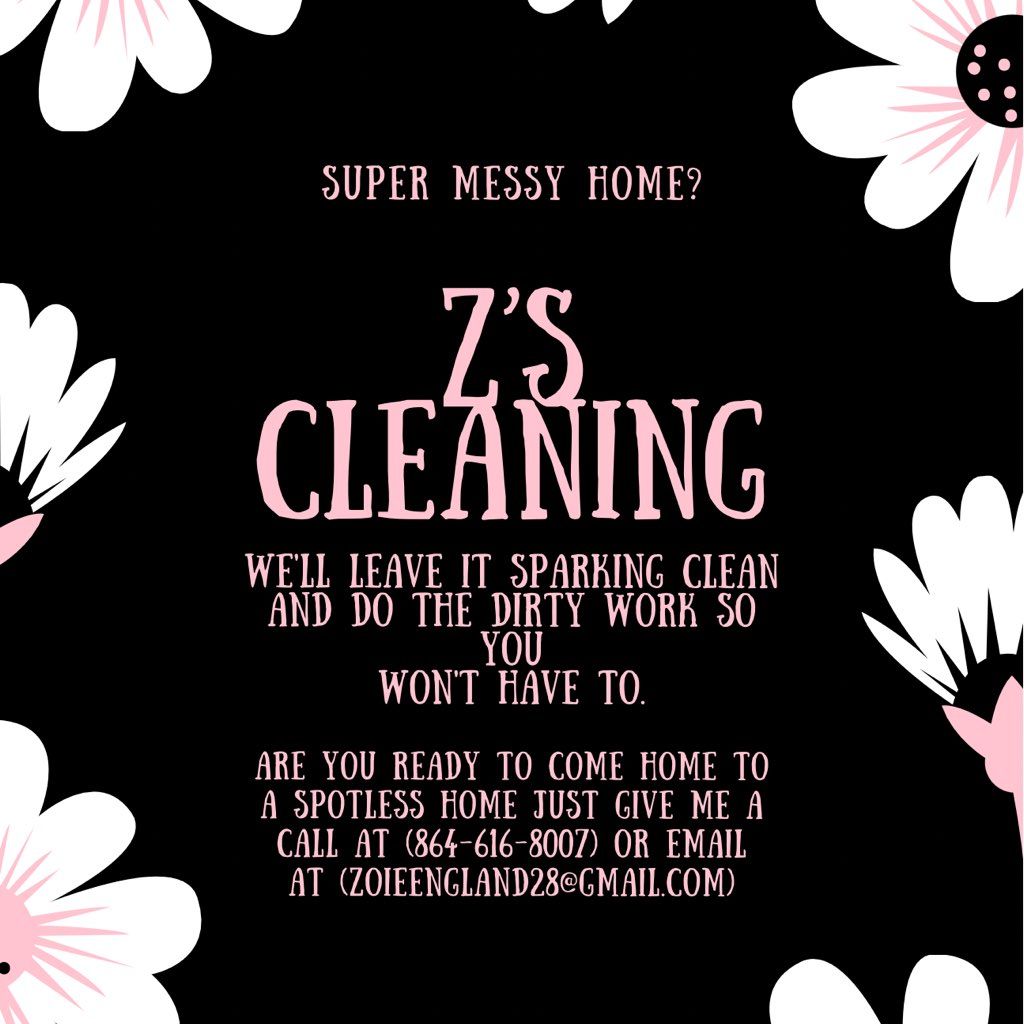 Z’s cleaning