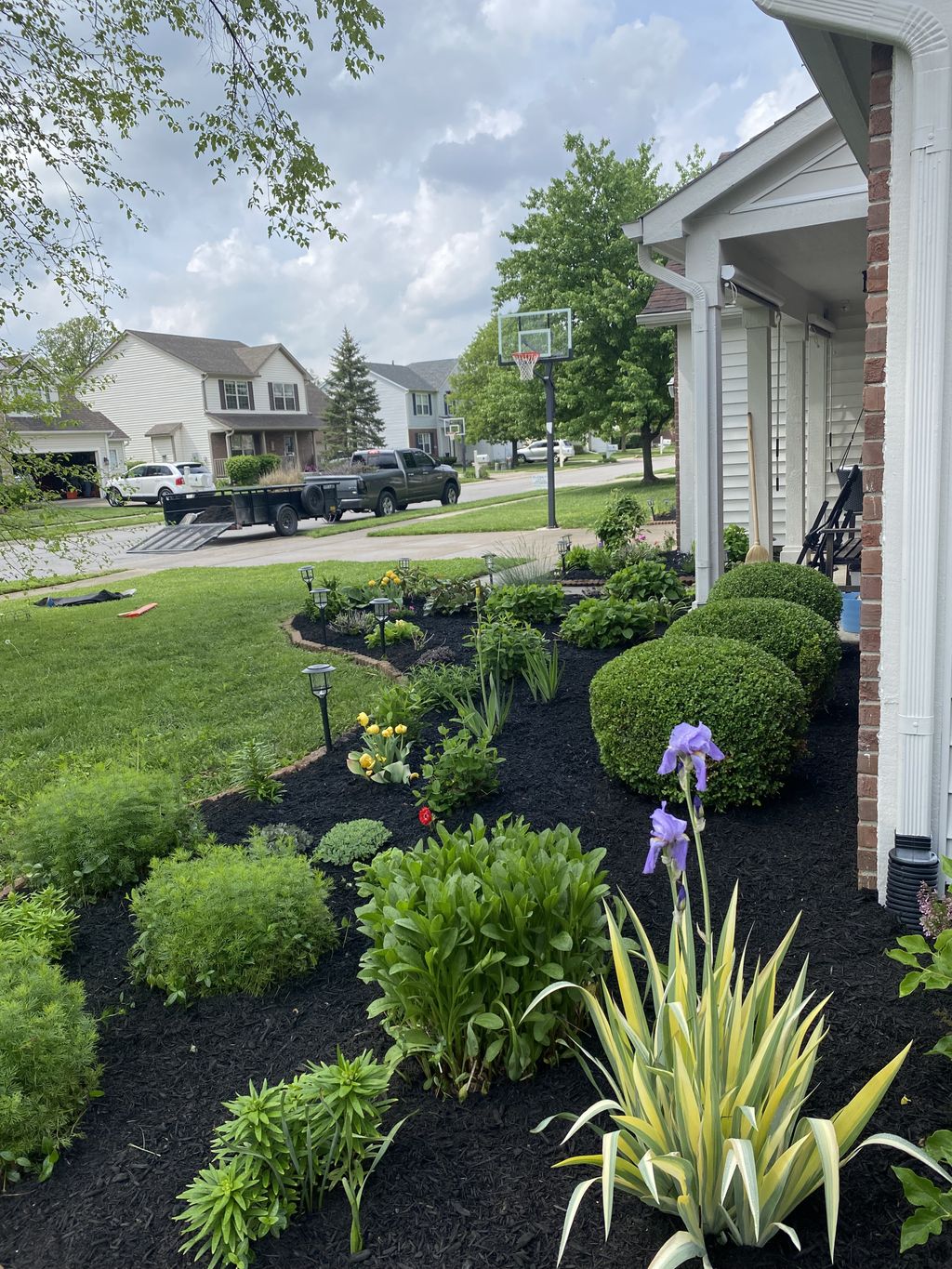 Lawn Mowing and Trimming