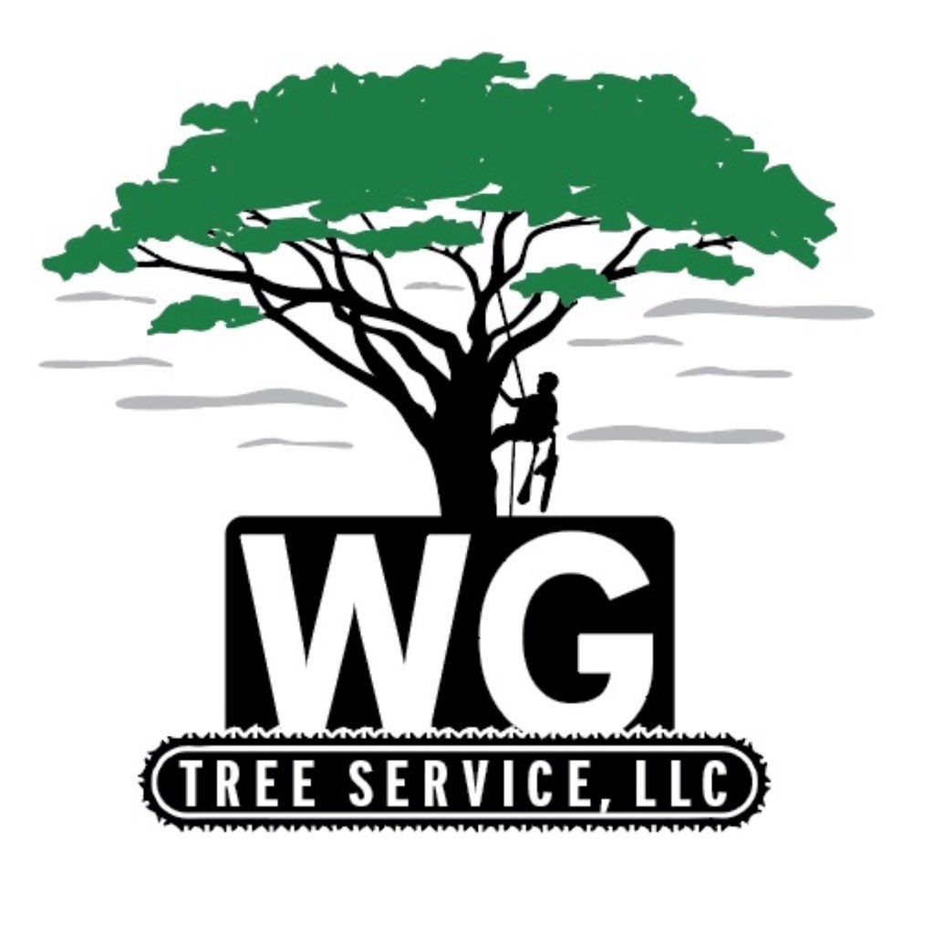 W G tree service LLC