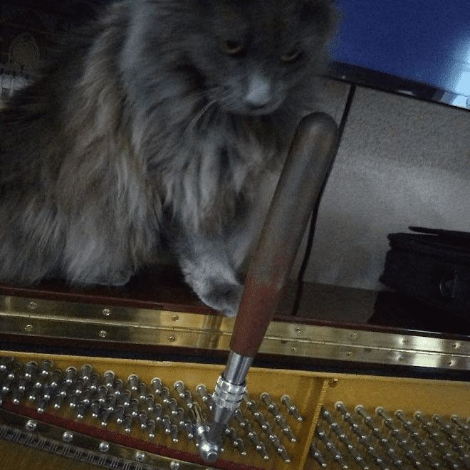 Little's Piano Maintenance