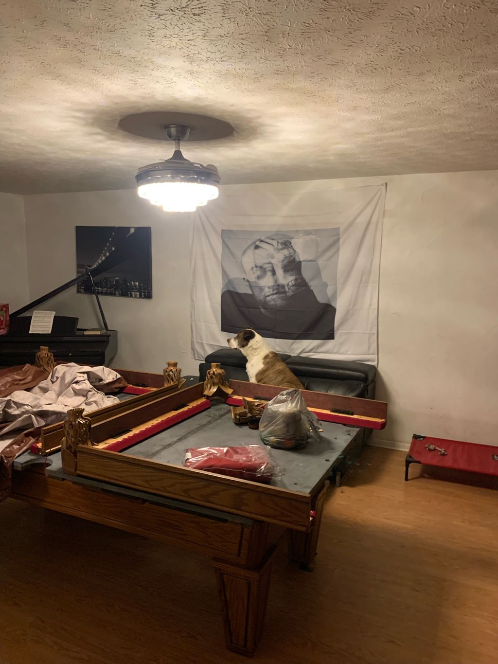 Projects and media