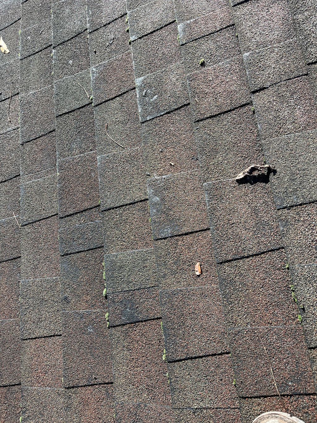 Roof Repair or Maintenance