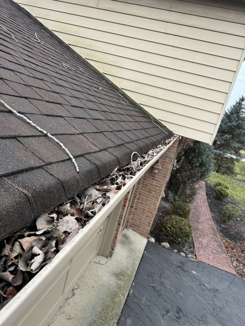 Gutter Cleaning and Maintenance