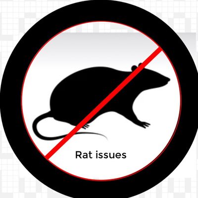 Avatar for Rat issues, LLC