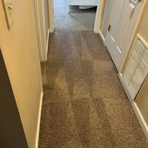 Carpet Cleaning