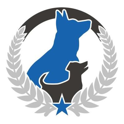 Avatar for Dog Training Elite Palm Beach County