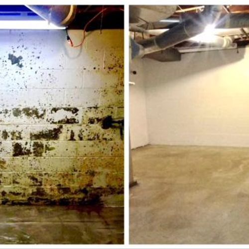 Basement Mold Removal Before & After