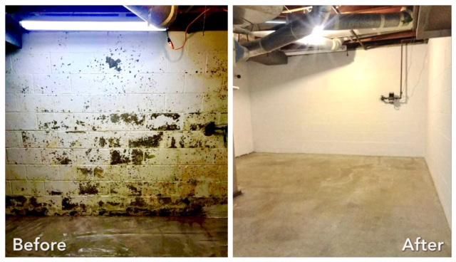 Basement Mold Removal Before & After