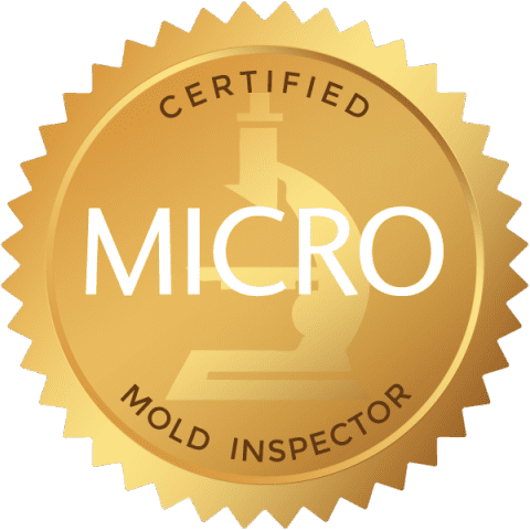 MICRO Mold Inspection & Testing Services