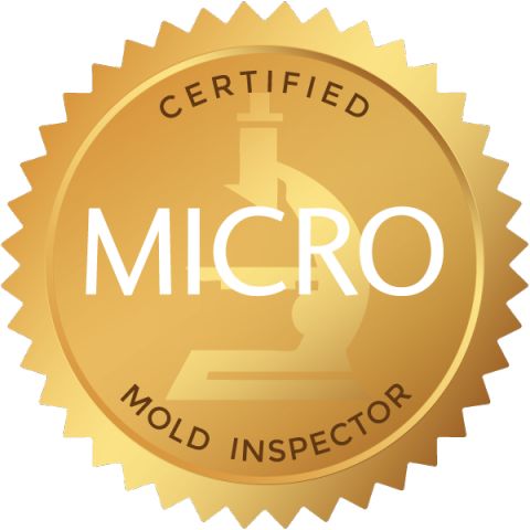 MICRO Mold Inspection & Testing Services