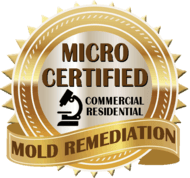 MICRO Certified Mold Remediation Services