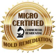 MICRO Certified Mold Remediation Services