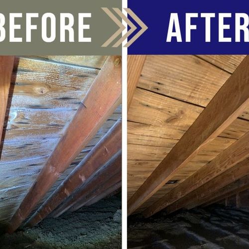 Attic Mold Remediation Before & After
