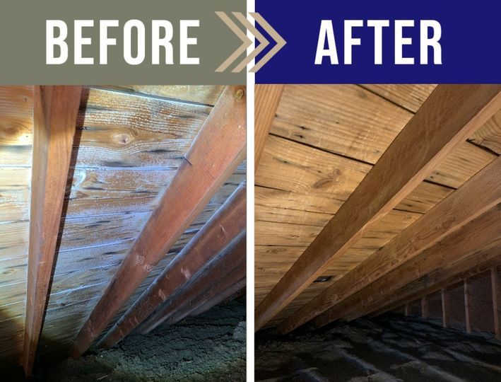 Attic Mold Remediation Before & After