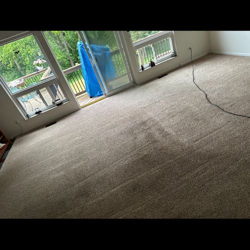 My carpet looks 10 times better thanks Anthony