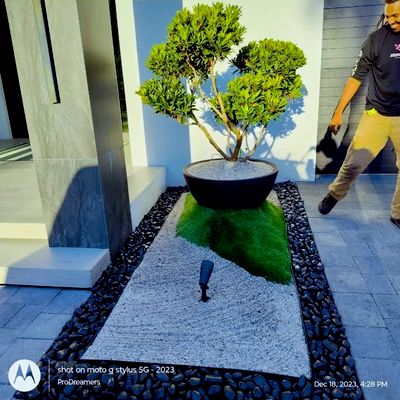 Avatar for Xtraordinary Lawn Care