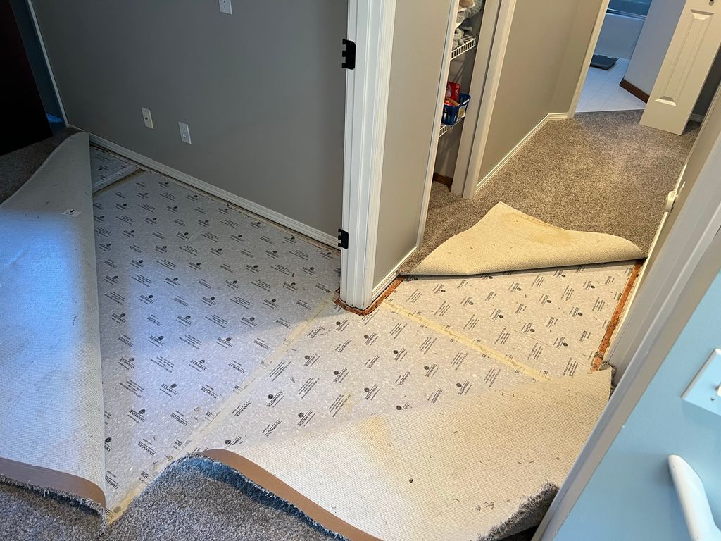 Carpet Repair or Partial Replacement