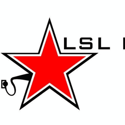 Avatar for LSL Electric