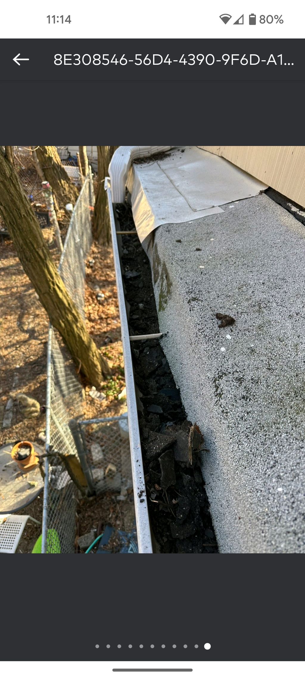 Customer photos
