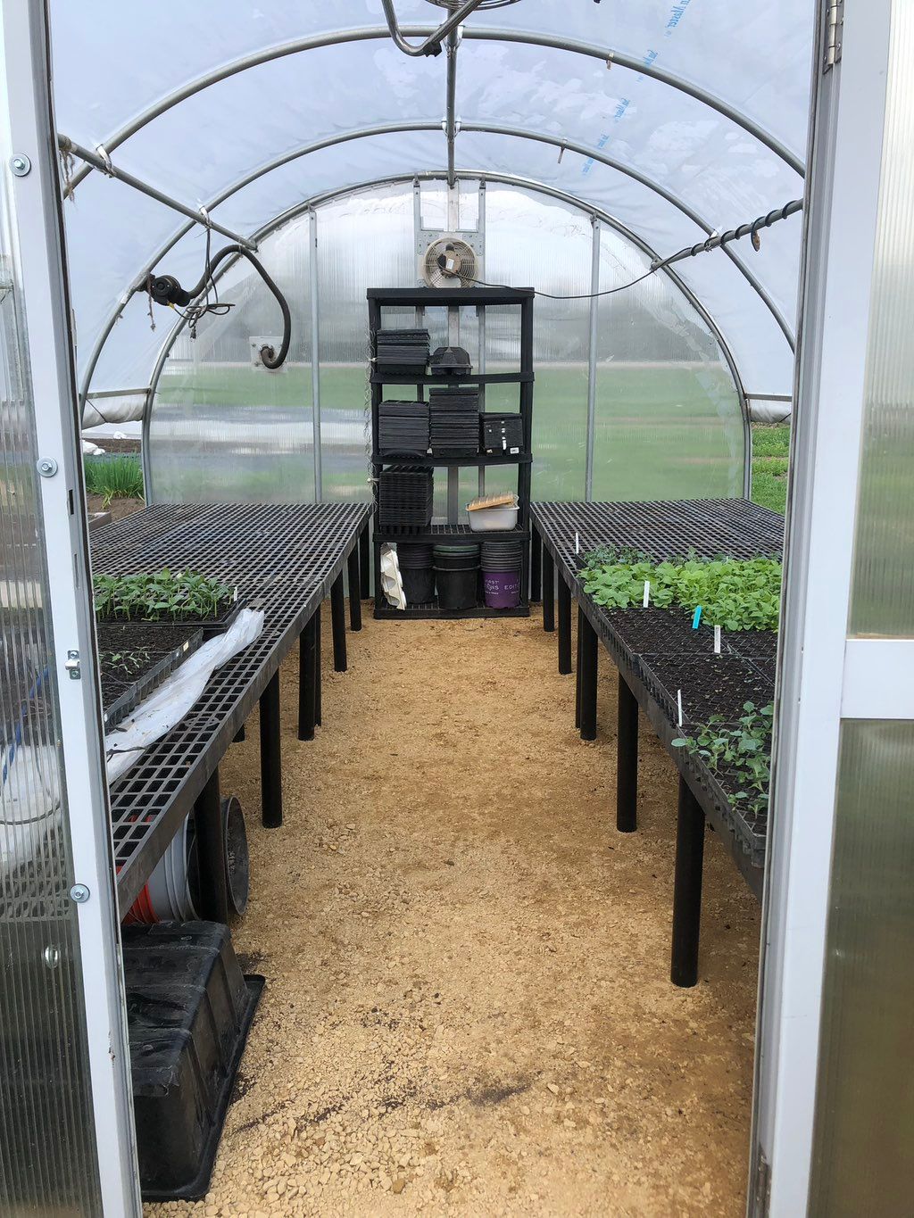 Some time and expertise took this greenhouse from 