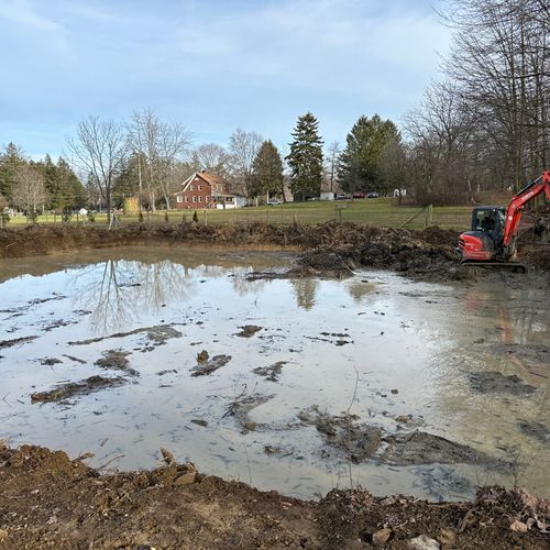 Newly dug pond