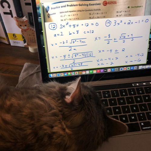 She helps me tutor math, too. 