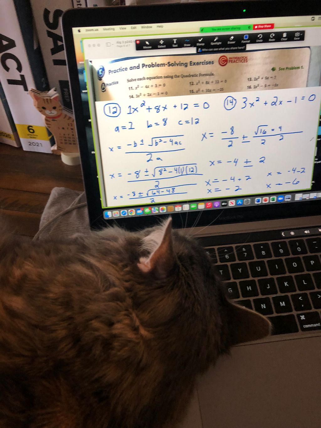 She helps me tutor math, too. 