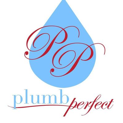 Avatar for Plumb Perfect Spring