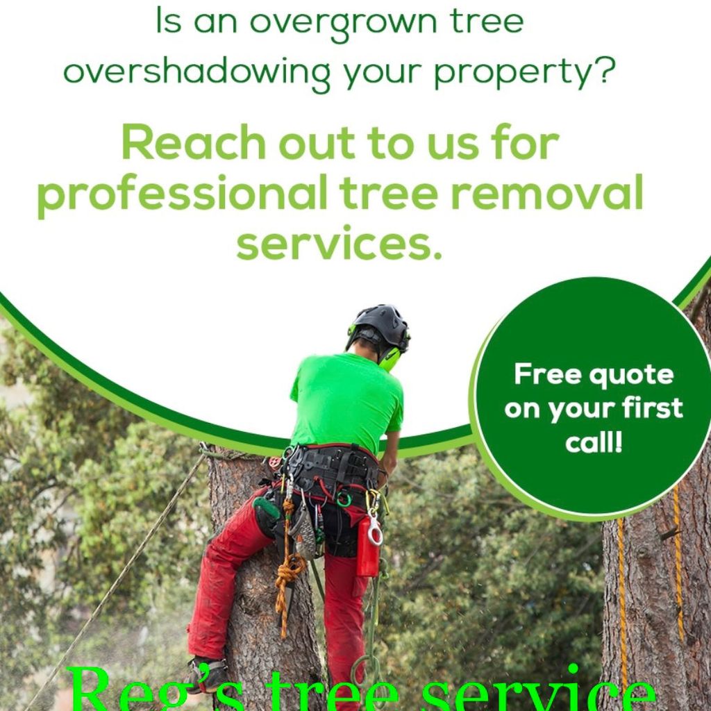 Regs Tree Services