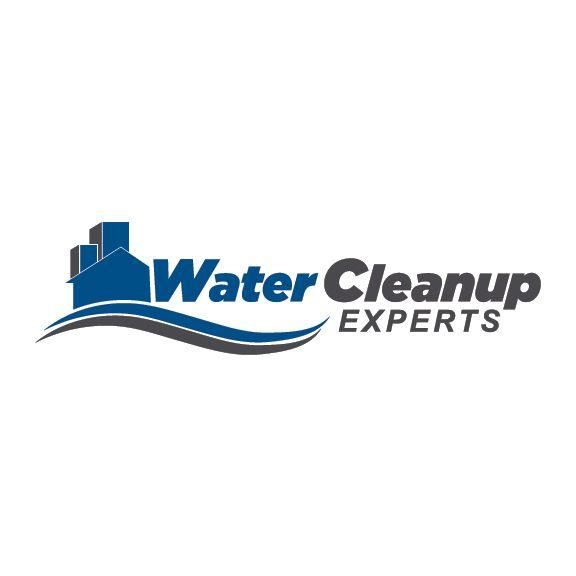 Water Cleanup Experts, Inc