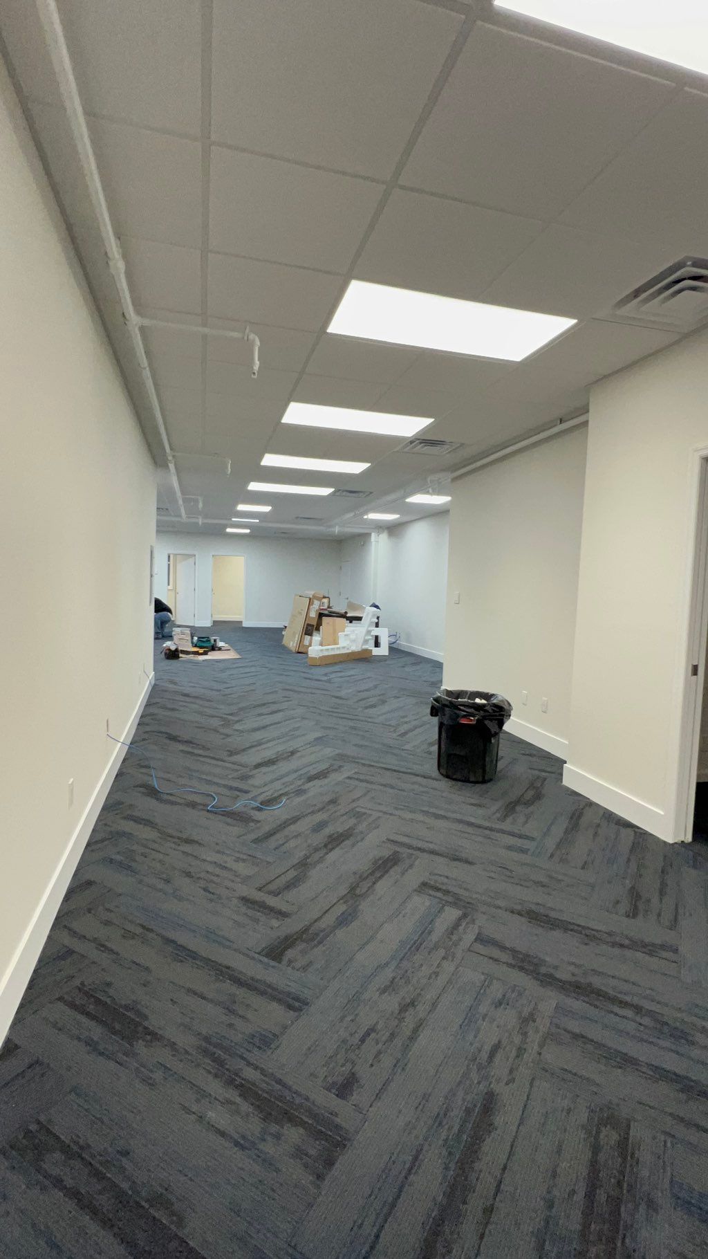 Projects and media