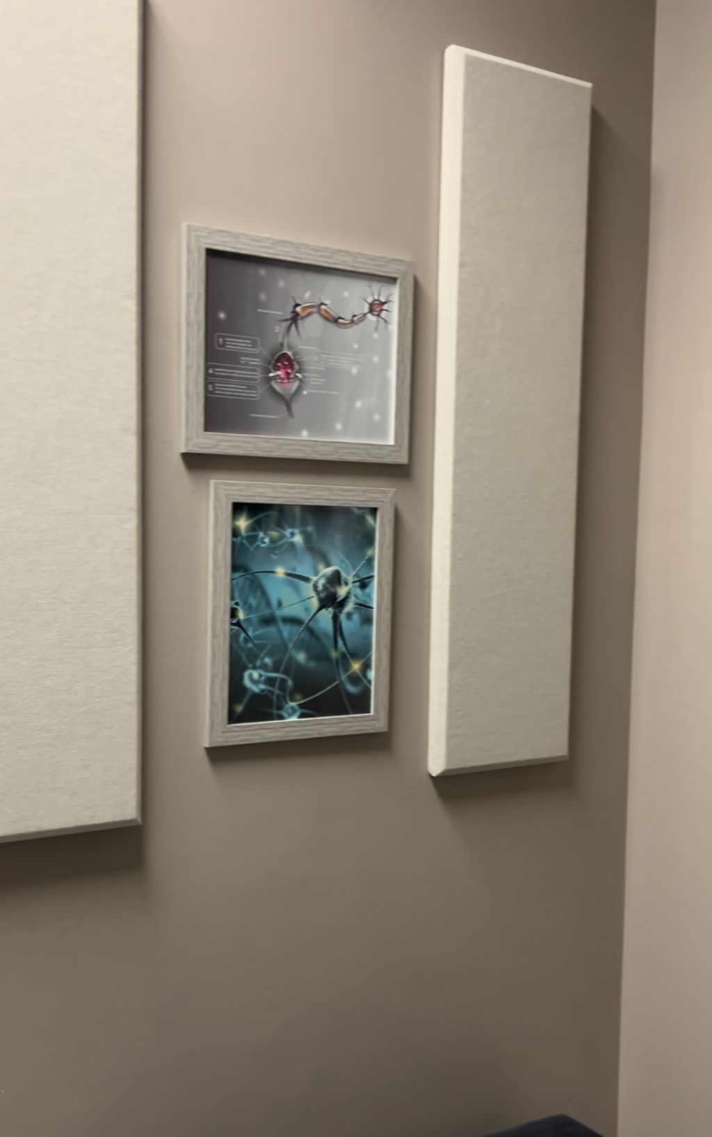 Educational wall