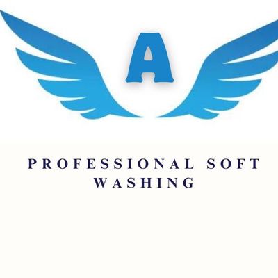 Avatar for Angel Pressure Washing Professional