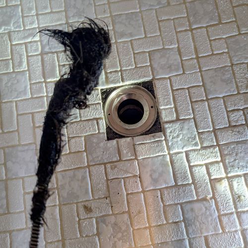 hair ball from shower drain
