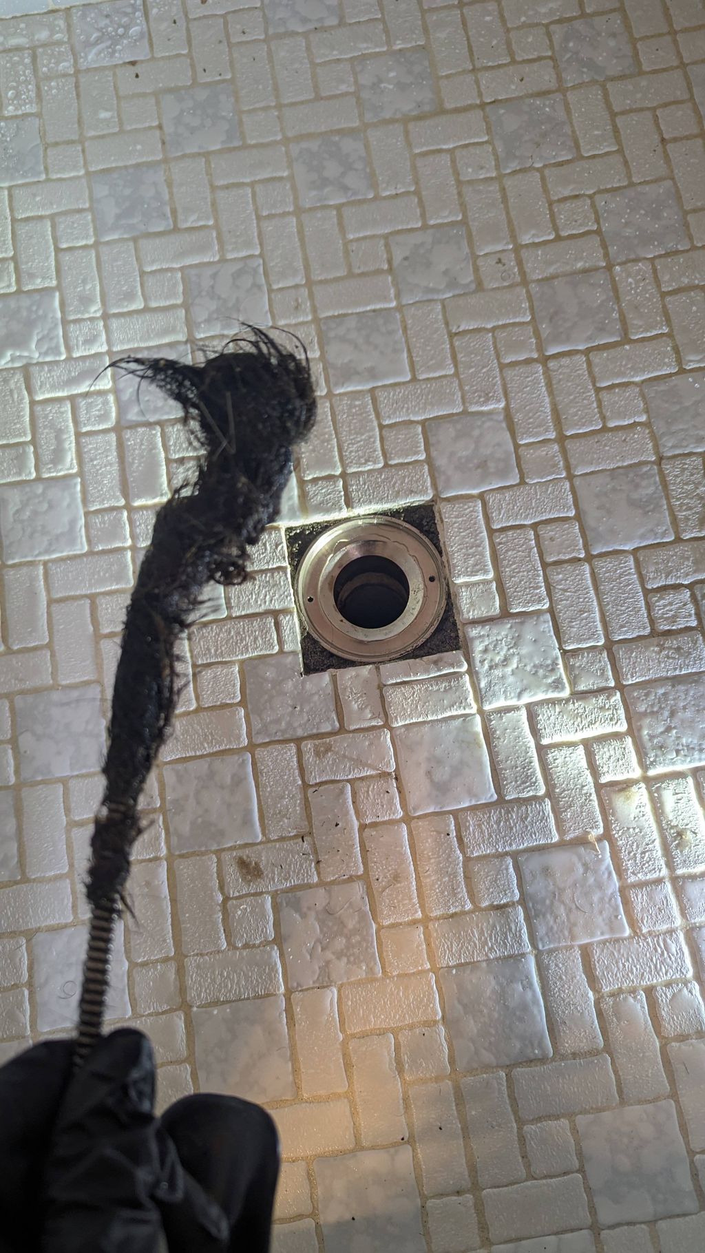 hair ball from shower drain