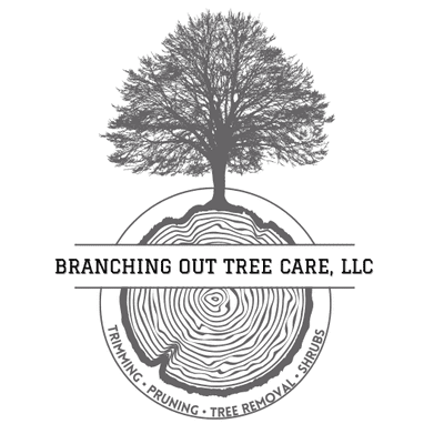 Avatar for Branching Out Tree Care, LLC