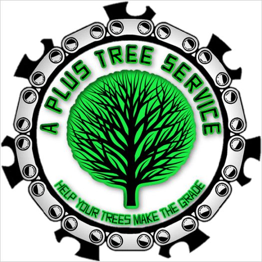A-Plus Tree Service
