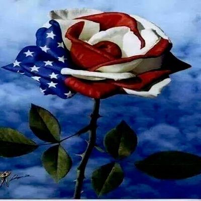 Avatar for Skyler Moving & Labor LLC