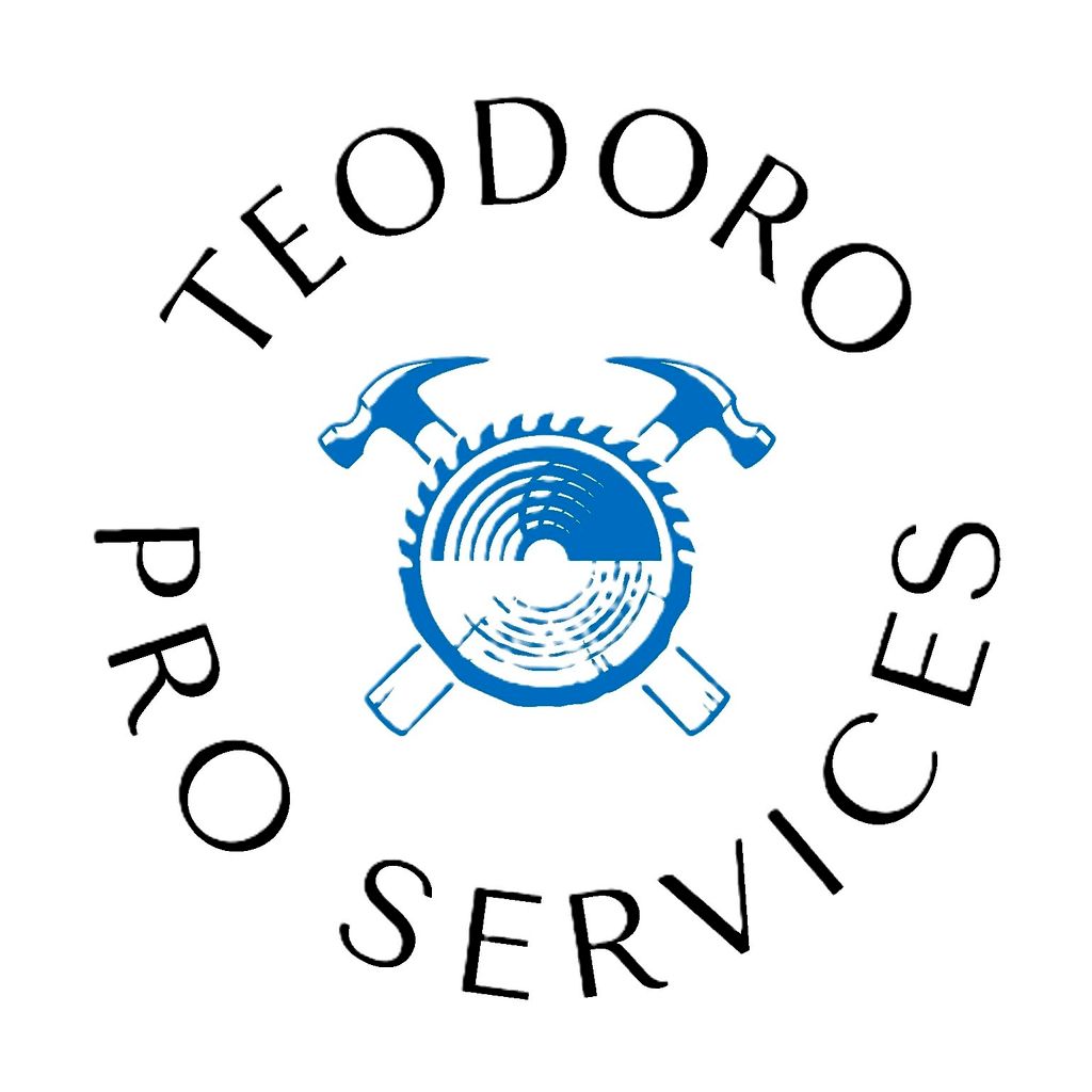 Teodoro Pro Services