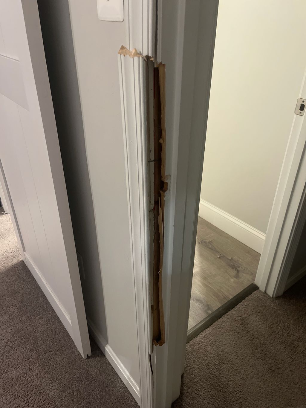 Door Repair