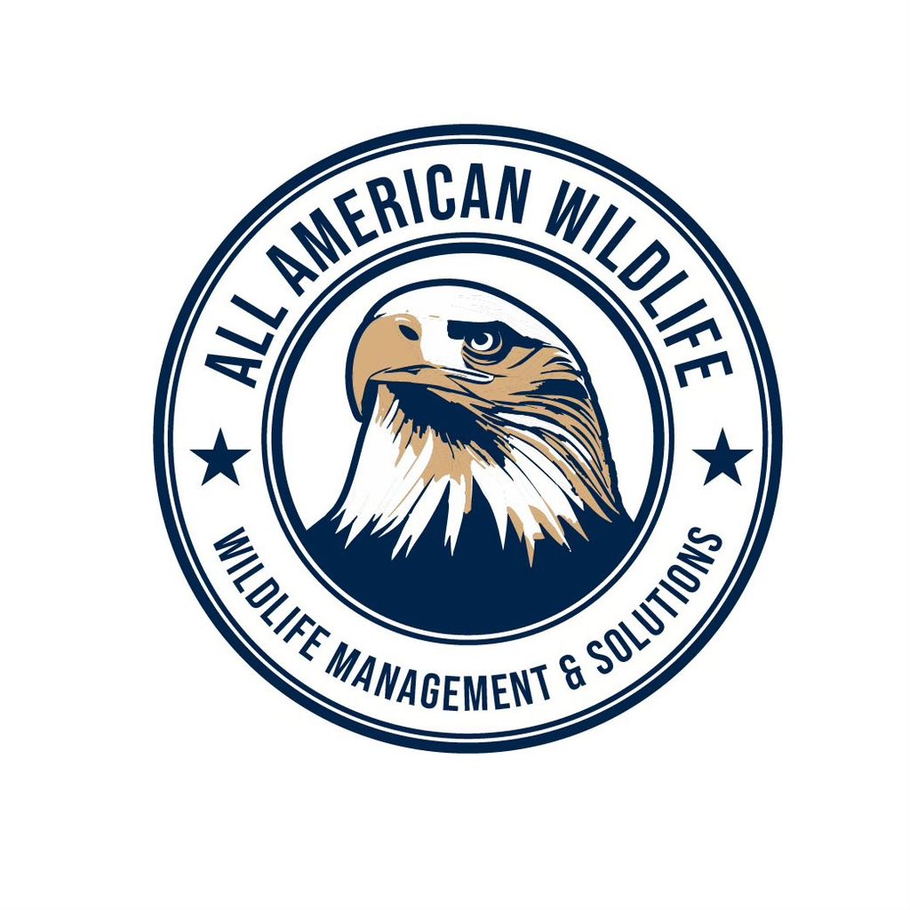 All American Wildlife LLC
