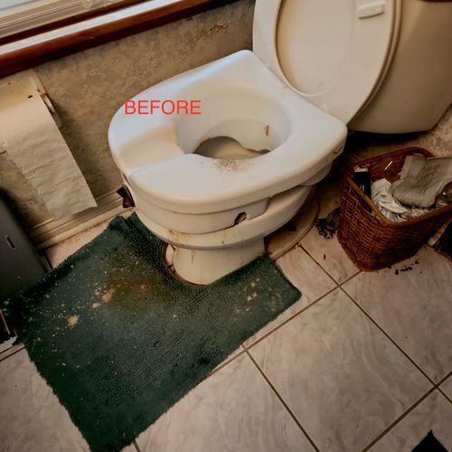 Toilet Seat - BEFORE