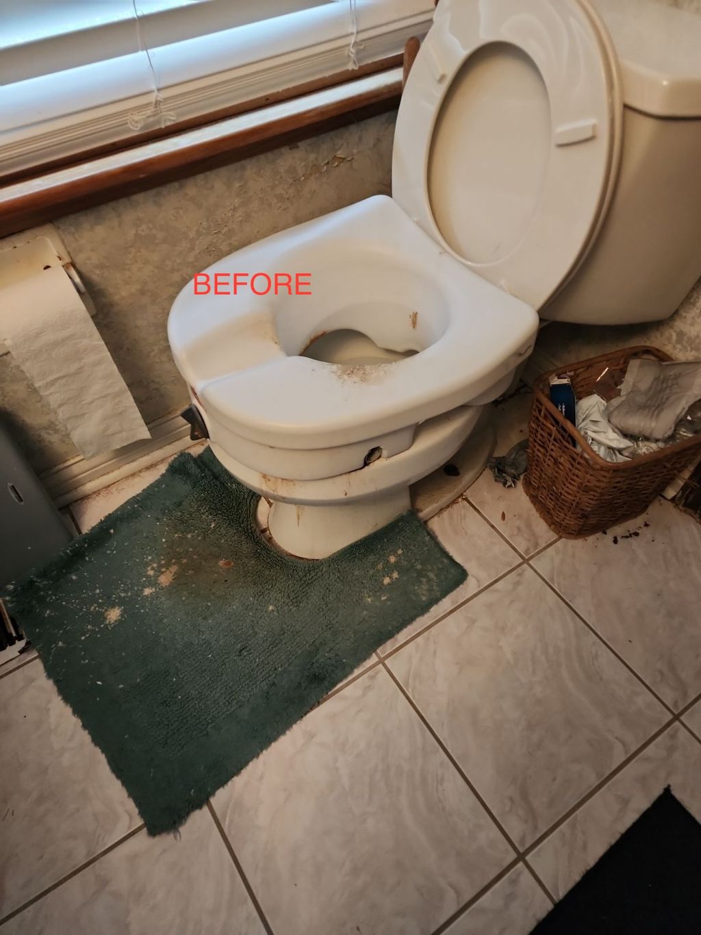 Toilet Seat - BEFORE