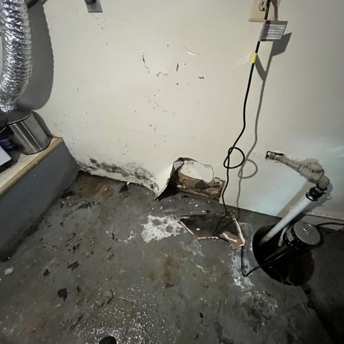 Mold Inspection and Removal