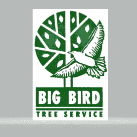 Avatar for Big Bird Tree Service