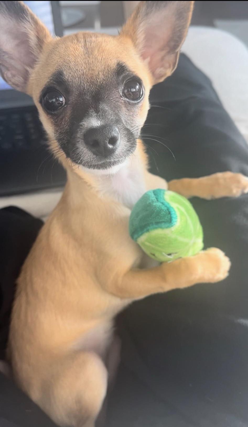 Mildred (Millie)