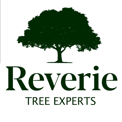 Avatar for Reverie Tree Experts, Inc.